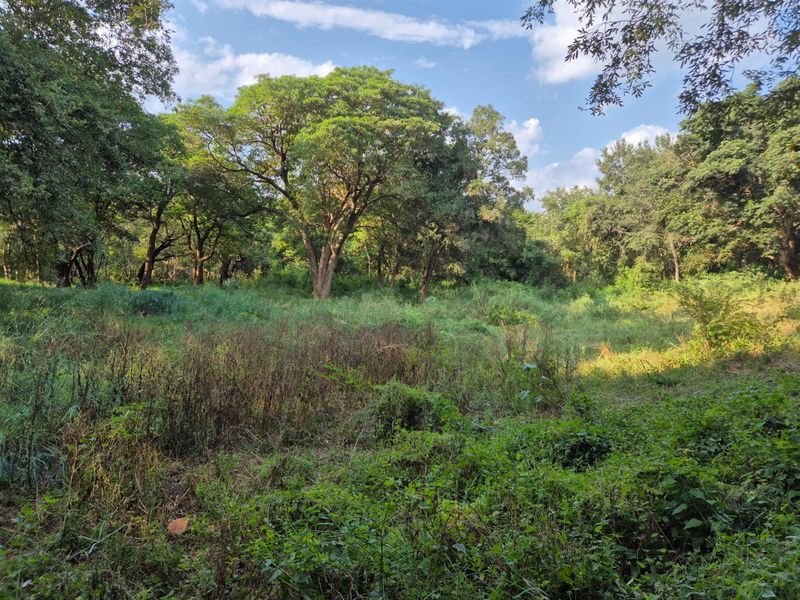 A large house under construction  on one of the best plots in Blyde Wildlife Estate, Hoedspruit - Photo 8