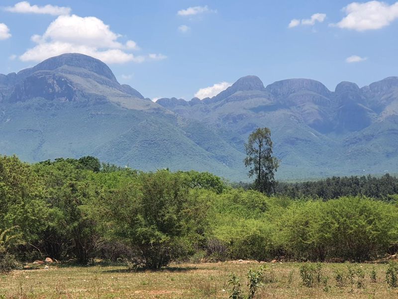 A large house under construction  on one of the best plots in Blyde Wildlife Estate, Hoedspruit - Photo 7
