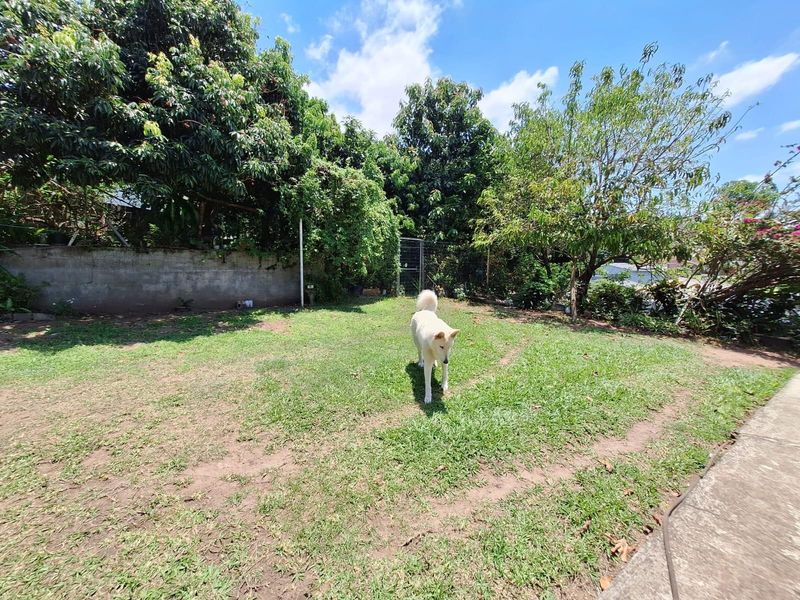 Well-Maintained 4-Bed 3-Bath Home in Stanger Heights - Photo 2