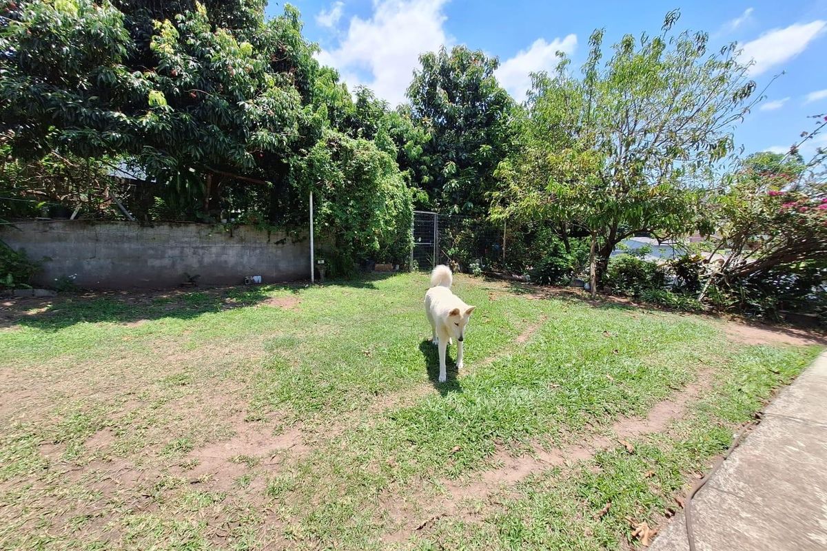 Well-Maintained 4-Bed 3-Bath Home in Stanger Heights - Photo 2