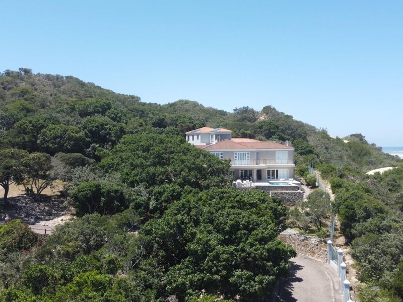 Aerial view of a multi-level residential property nestled in a lush, coastal forest setting with direct proximity to the beach.
