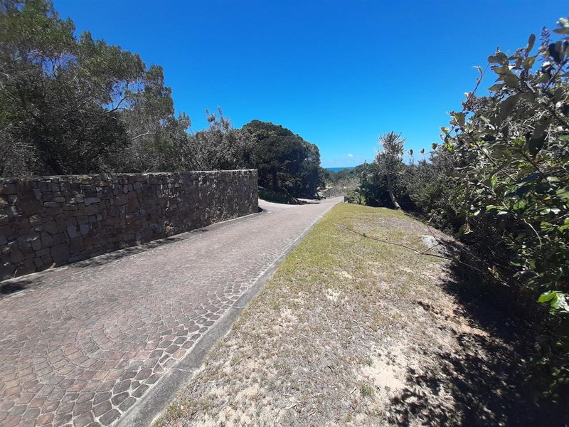 A paved driveway leading towards the coast, featuring a stone retaining wall and established coastal vegetation on a residential vacant land plot.