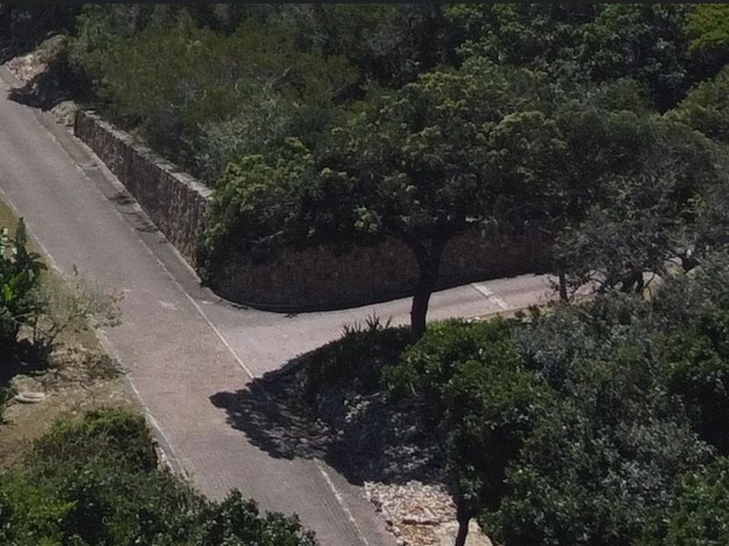 An aerial view of a paved residential street corner featuring a stone retaining wall and mature surrounding vegetation.