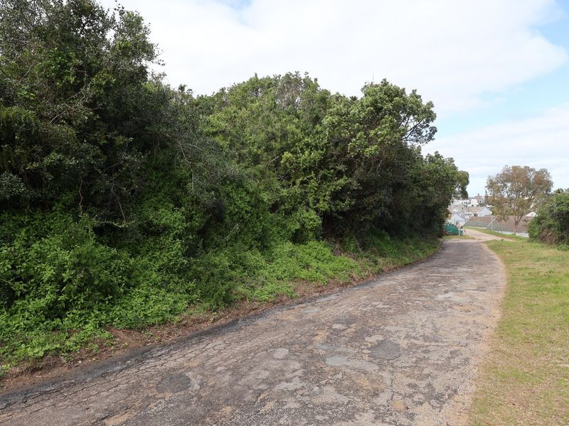 A view of a residential street approach featuring an aged asphalt road surface bordered by dense mature vegetation.
