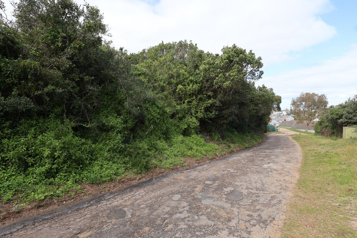 A view of a residential street approach featuring an aged asphalt road surface bordered by dense mature vegetation.