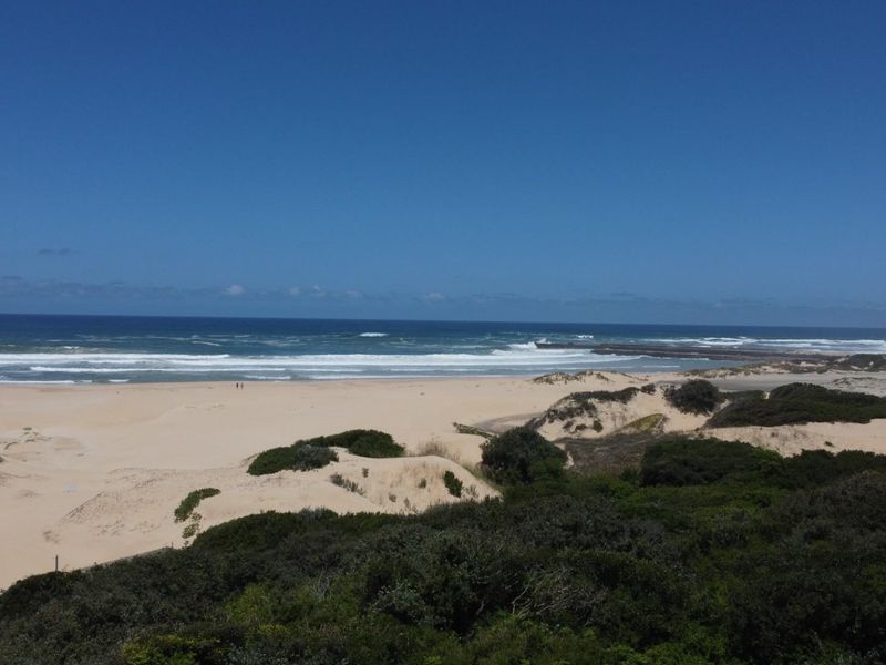 A scenic aerial view of the coastline, featuring sandy dunes, native coastal vegetation, and an expansive ocean horizon.