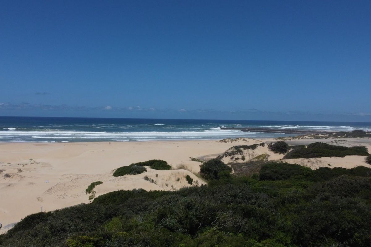 A scenic aerial view of the coastline, featuring sandy dunes, native coastal vegetation, and an expansive ocean horizon.