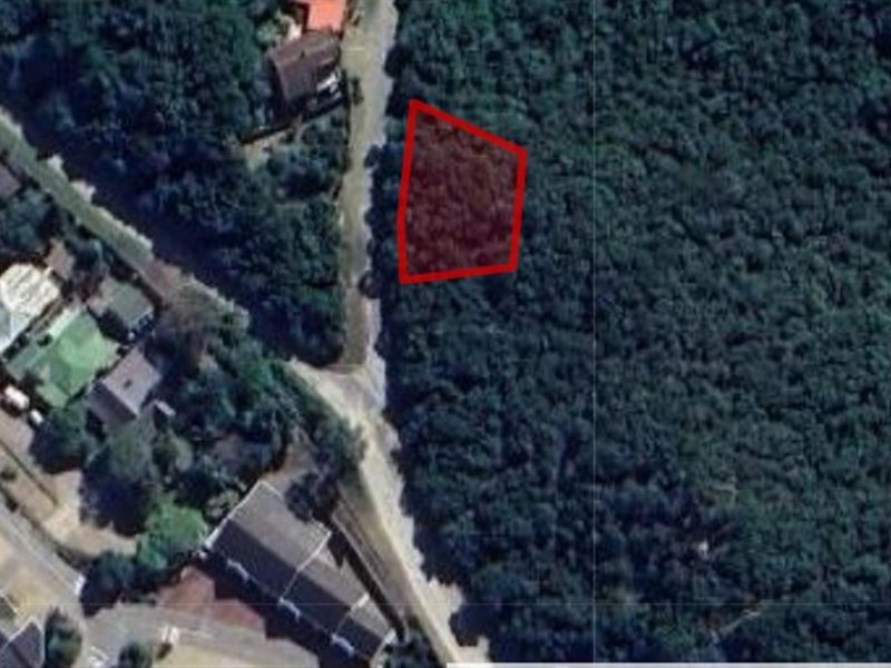 Aerial view of a vacant residential plot highlighted in red, situated within a wooded area near existing residential properties.