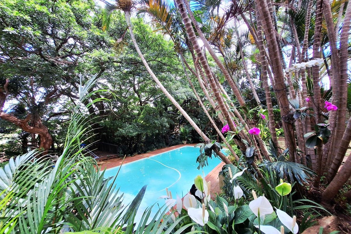 Ole World Charm - Family home with extended family/rental opportunities near the Mosque - Photo 3