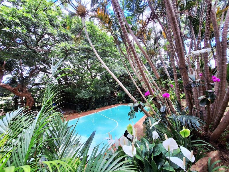 Ole World Charm - Family home with extended family/rental opportunities near the Mosque - Photo 3