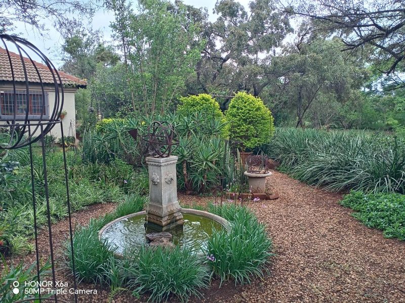 Beautiful well looked after big family home on smallholding kameeldrift east - Photo 2