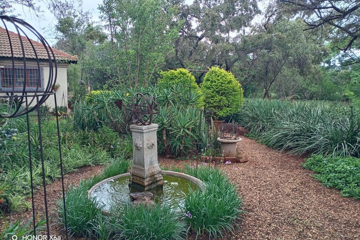 Beautiful well looked after big family home on smallholding kameeldrift east - Photo 2