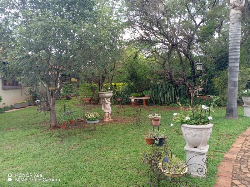 Beautiful well looked after big family home on smallholding kameeldrift east - Photo 4
