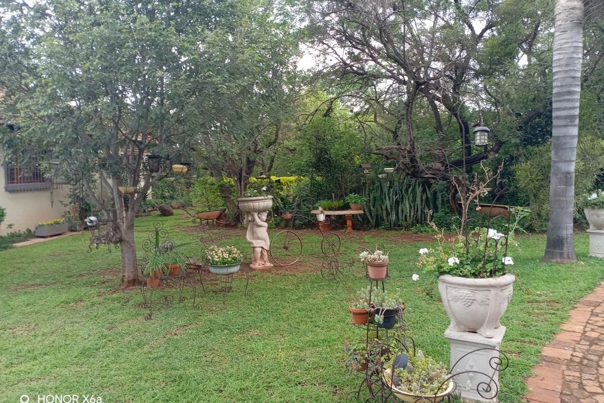 Beautiful well looked after big family home on smallholding kameeldrift east - Photo 4