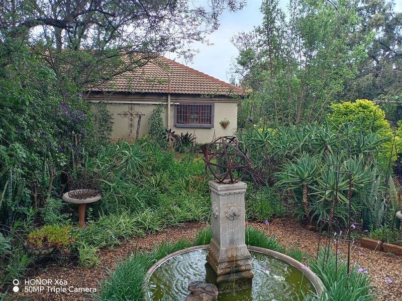 Beautiful well looked after big family home on smallholding kameeldrift east - Photo 3