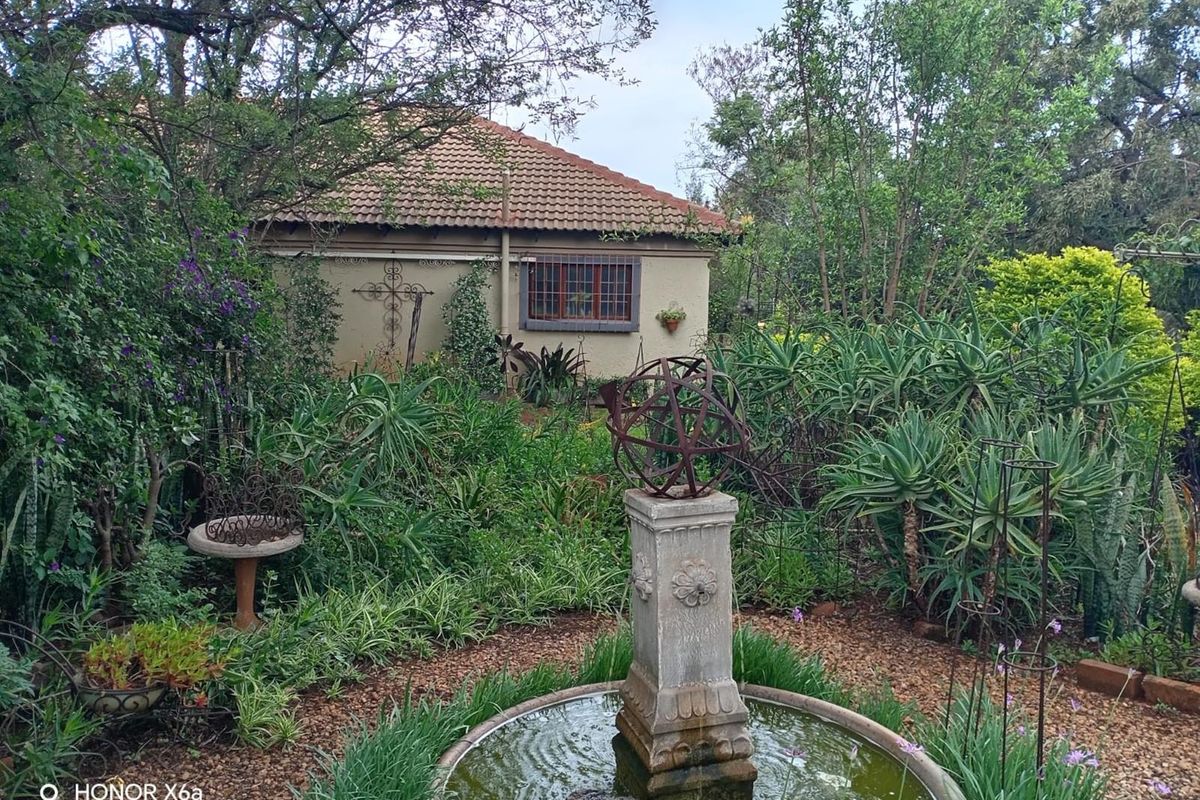 Beautiful well looked after big family home on smallholding kameeldrift east - Photo 3