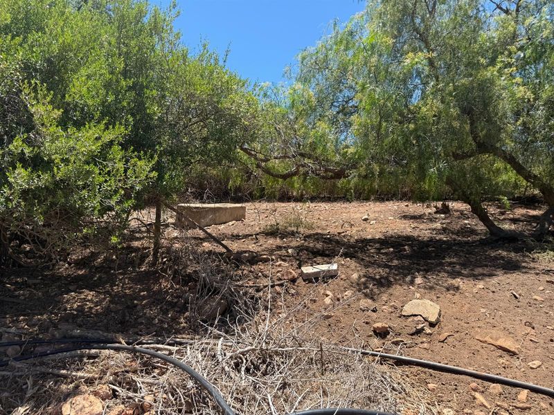 Farm For Sale in Van Wyksdorp, Ladismith - Photo 7