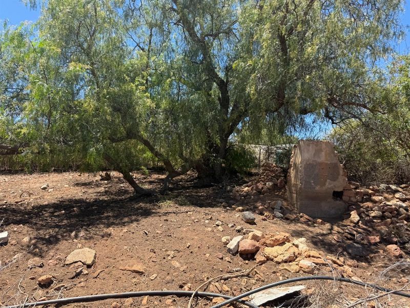 Farm For Sale in Van Wyksdorp, Ladismith - Photo 8