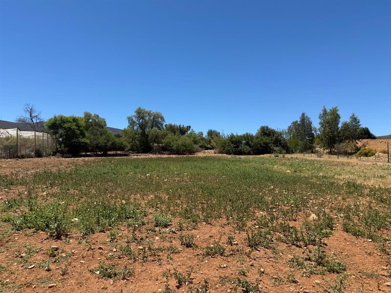 Farm For Sale in Van Wyksdorp, Ladismith - Photo 4