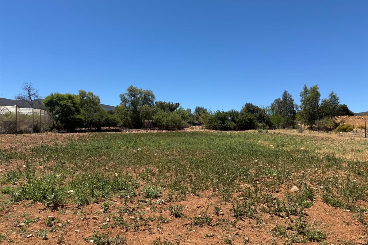 Farm For Sale in Van Wyksdorp, Ladismith - Photo 4