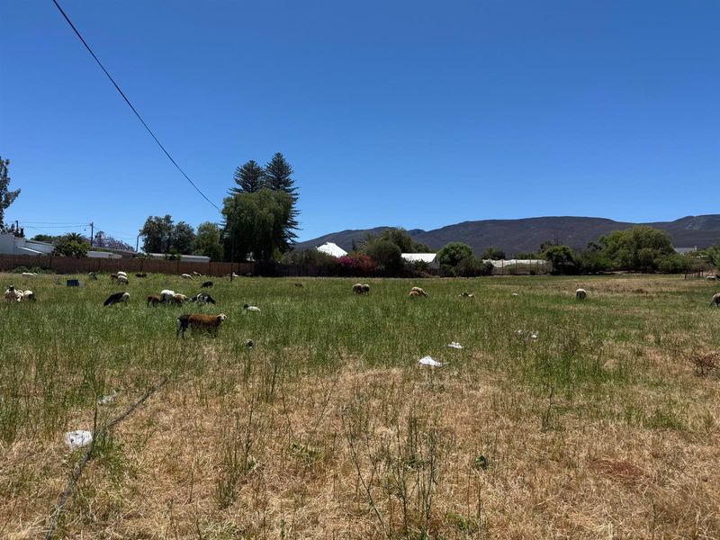 Farm For Sale in Van Wyksdorp, Ladismith - Photo 6