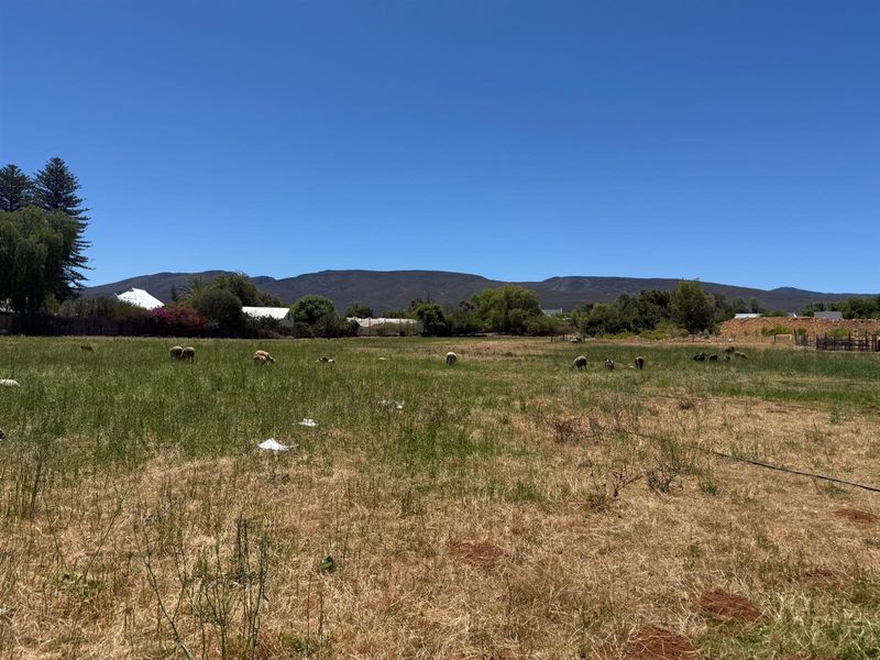 Farm For Sale in Van Wyksdorp, Ladismith - Photo 5