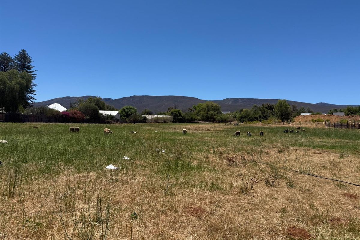 Farm For Sale in Van Wyksdorp, Ladismith - Photo 5