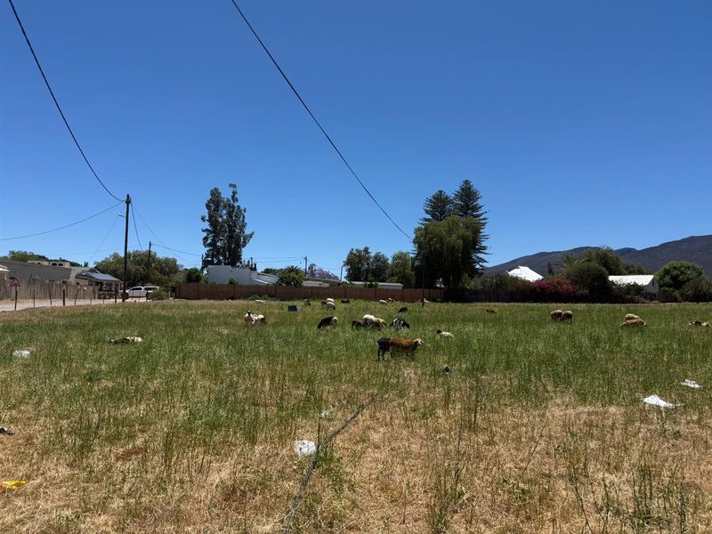 Farm For Sale in Van Wyksdorp, Ladismith - Photo 2