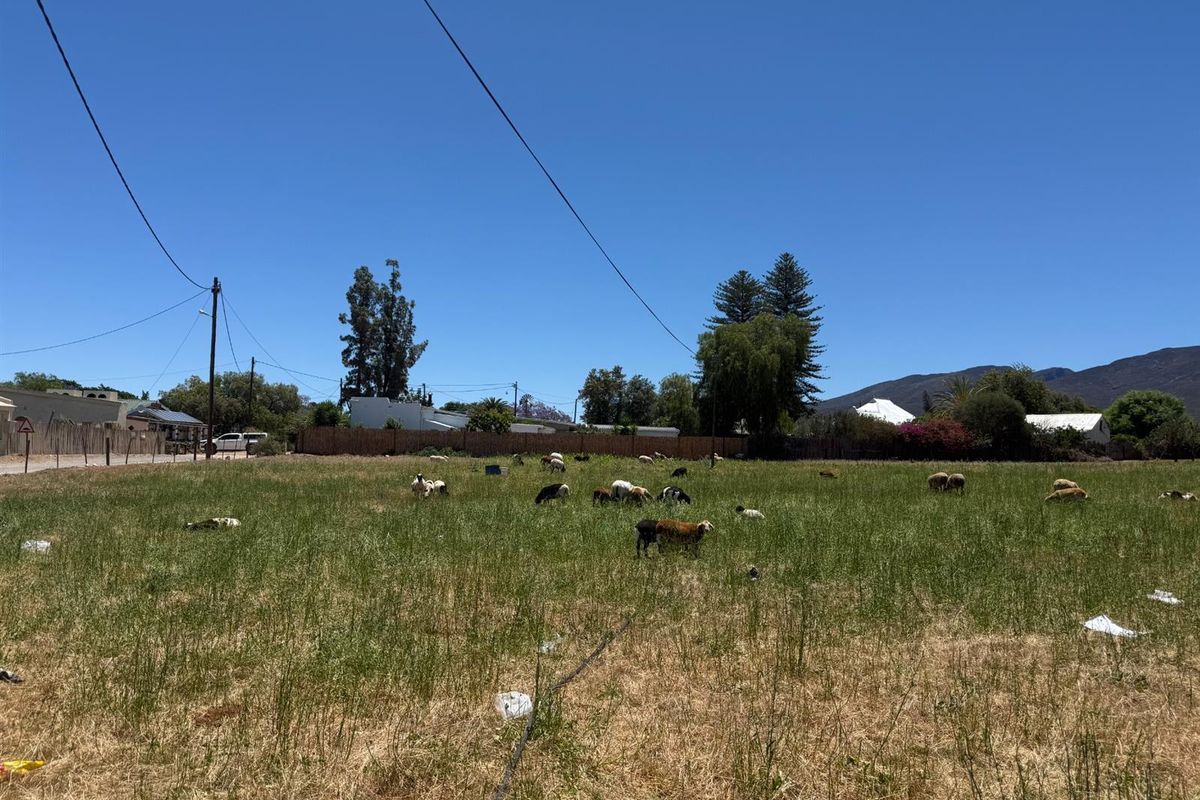 Farm For Sale in Van Wyksdorp, Ladismith - Photo 2