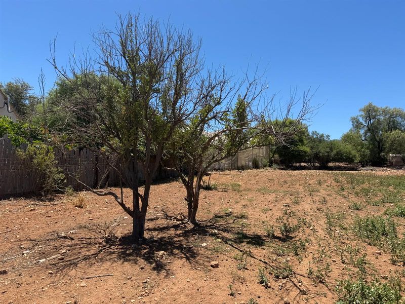 Farm For Sale in Van Wyksdorp, Ladismith - Photo 3
