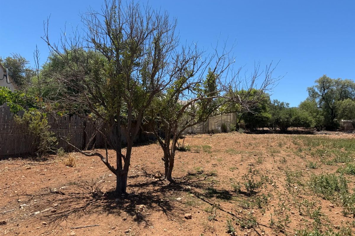 Farm For Sale in Van Wyksdorp, Ladismith - Photo 3
