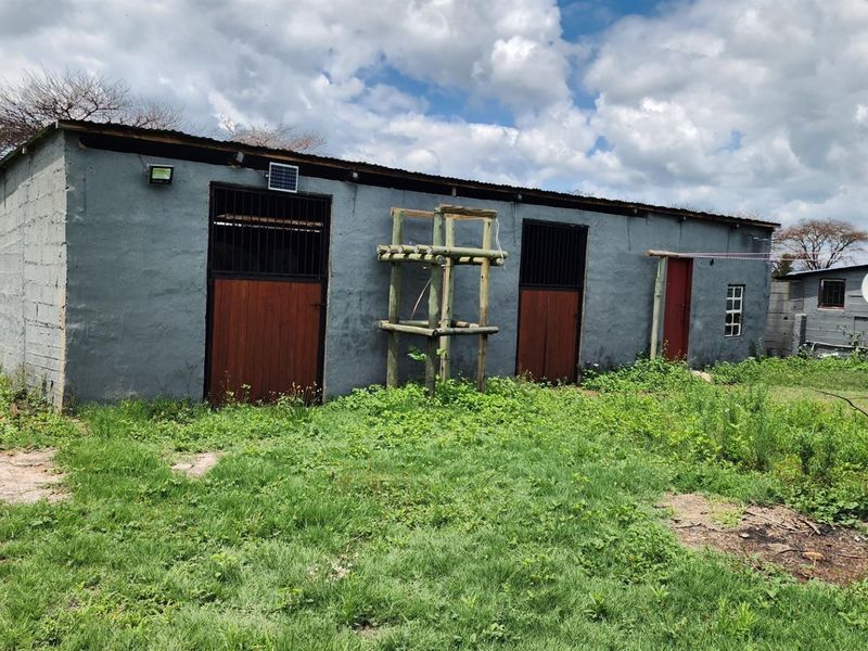 Smallholding in Noodhulp near Bela-Bela - Build your lodge or dream home - Photo 6