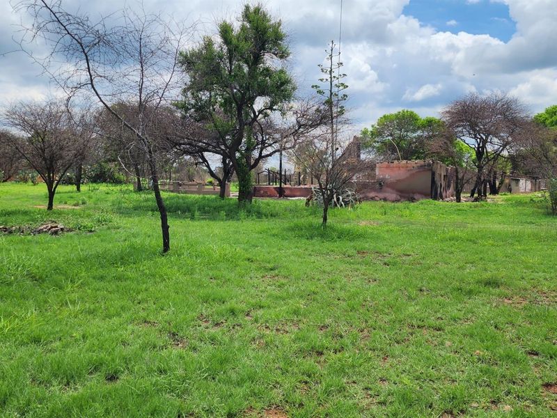 Smallholding in Noodhulp near Bela-Bela - Build your lodge or dream home - Photo 8