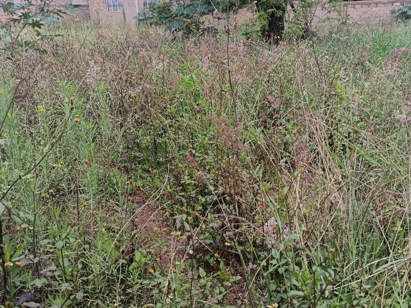 Residential Vacant land For Sale in Mankweng - Photo 3