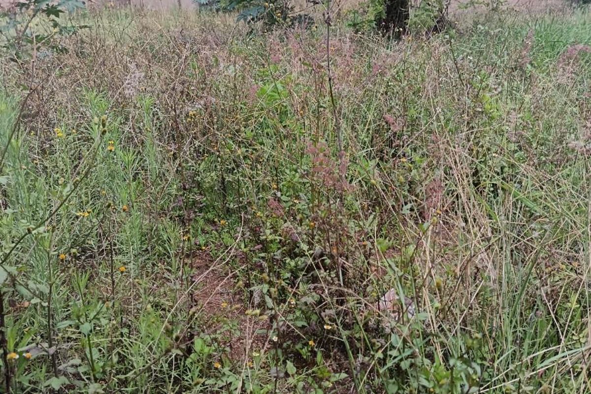 Residential Vacant land For Sale in Mankweng - Photo 3