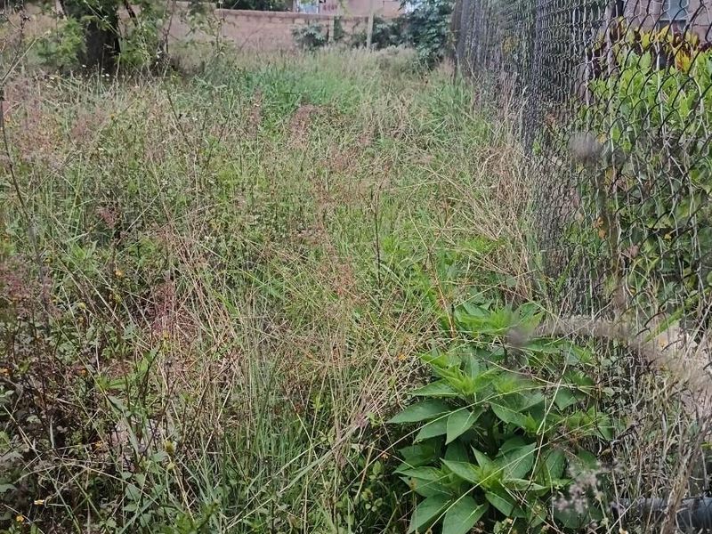 Residential Vacant land For Sale in Mankweng - Photo 6