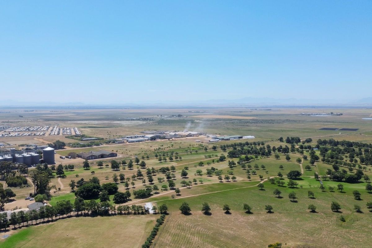 Prime Elevated Stand with Panoramic Views in Darling! - Photo 4