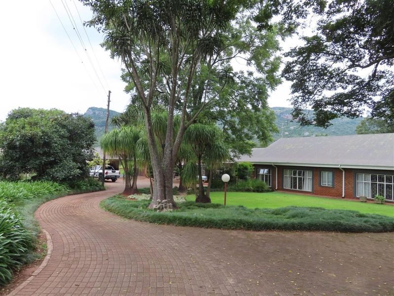 Soutpansberg Avocado and Macadamia Lyfestyle farm - Photo 2