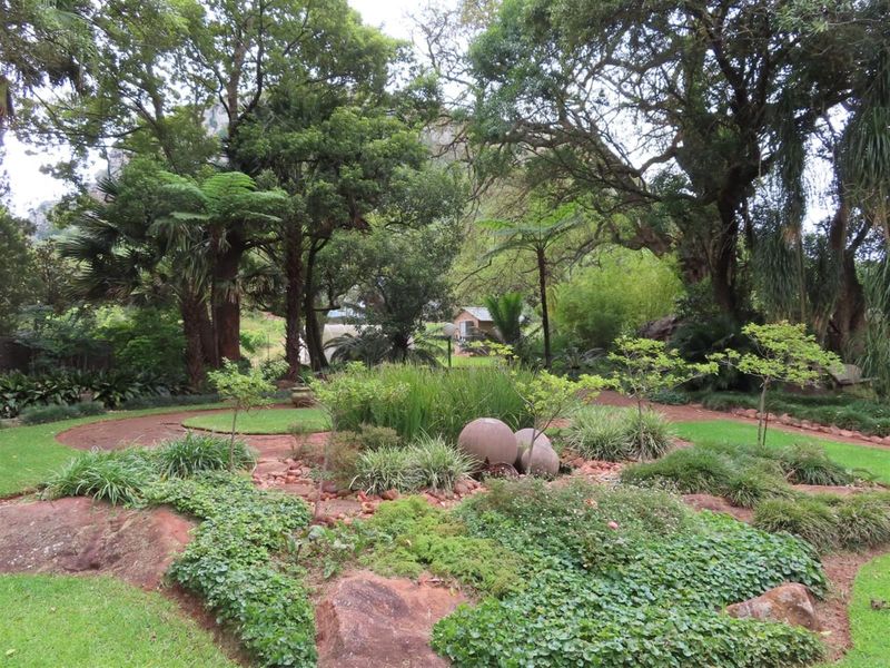 Soutpansberg Avocado and Macadamia Lyfestyle farm - Photo 7