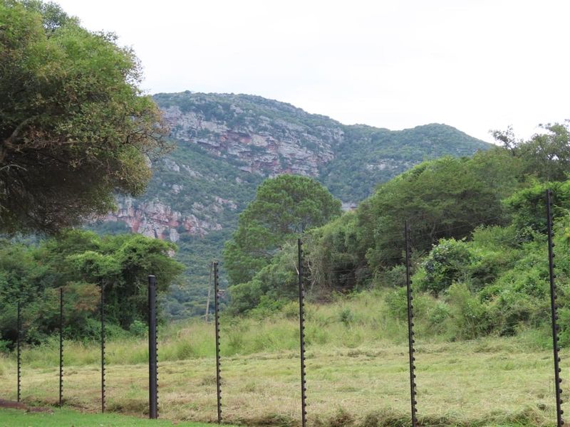 Soutpansberg Avocado and Macadamia Lyfestyle farm - Photo 5