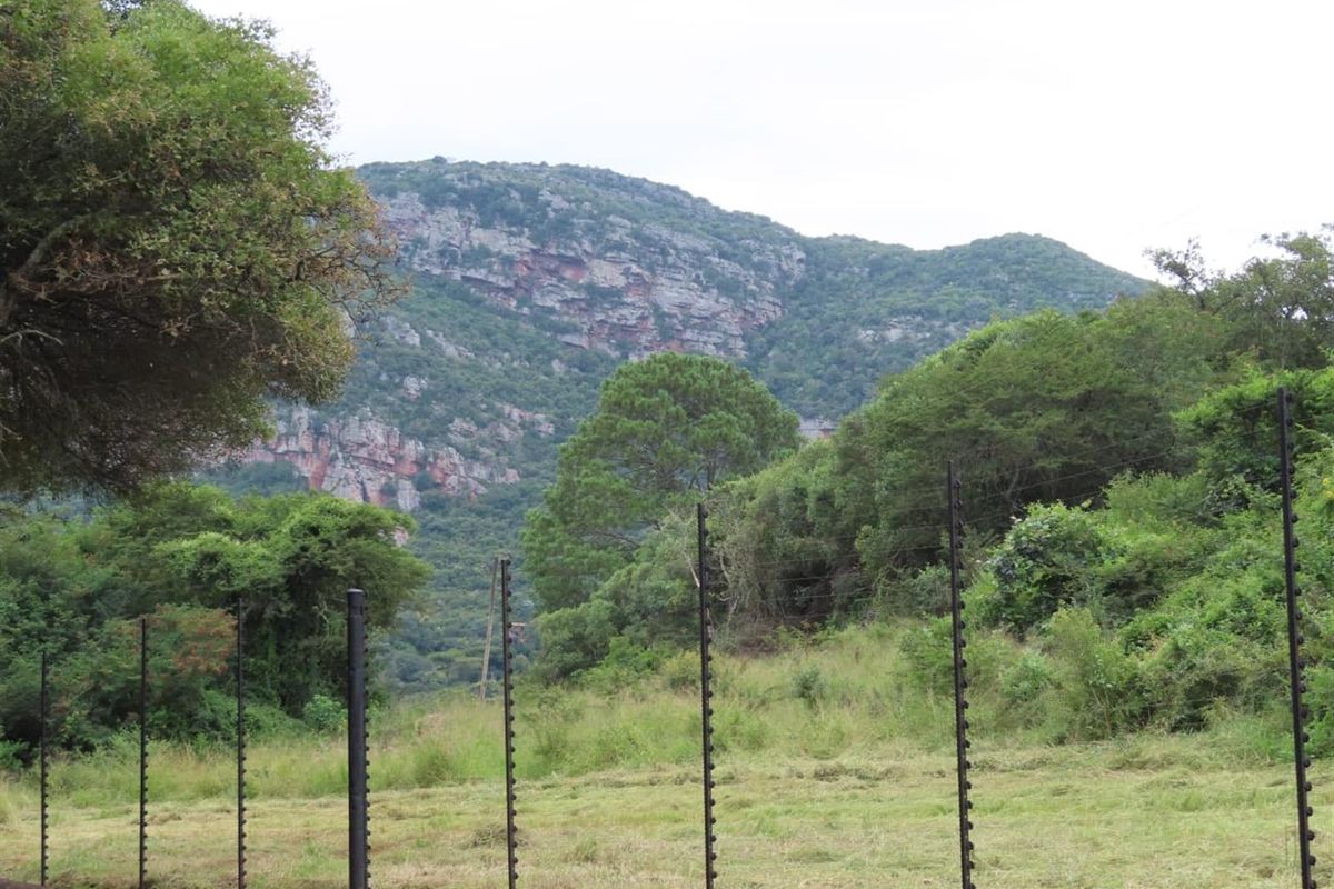 Soutpansberg Avocado and Macadamia Lyfestyle farm - Photo 5