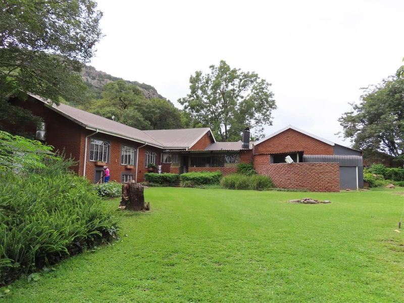 Soutpansberg Avocado and Macadamia Lyfestyle farm - Photo 3