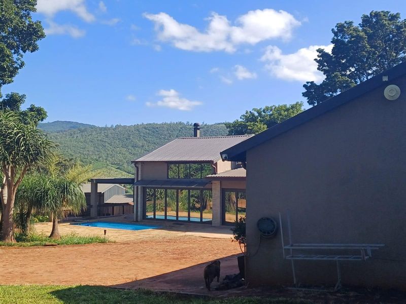 Lifestyle investment: Game fenced, avo orchard, 3 houses and solar power. - Photo 2