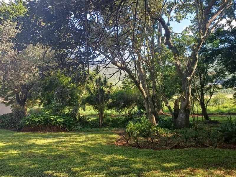 Lifestyle investment: Game fenced, avo orchard, 3 houses and solar power. - Photo 5