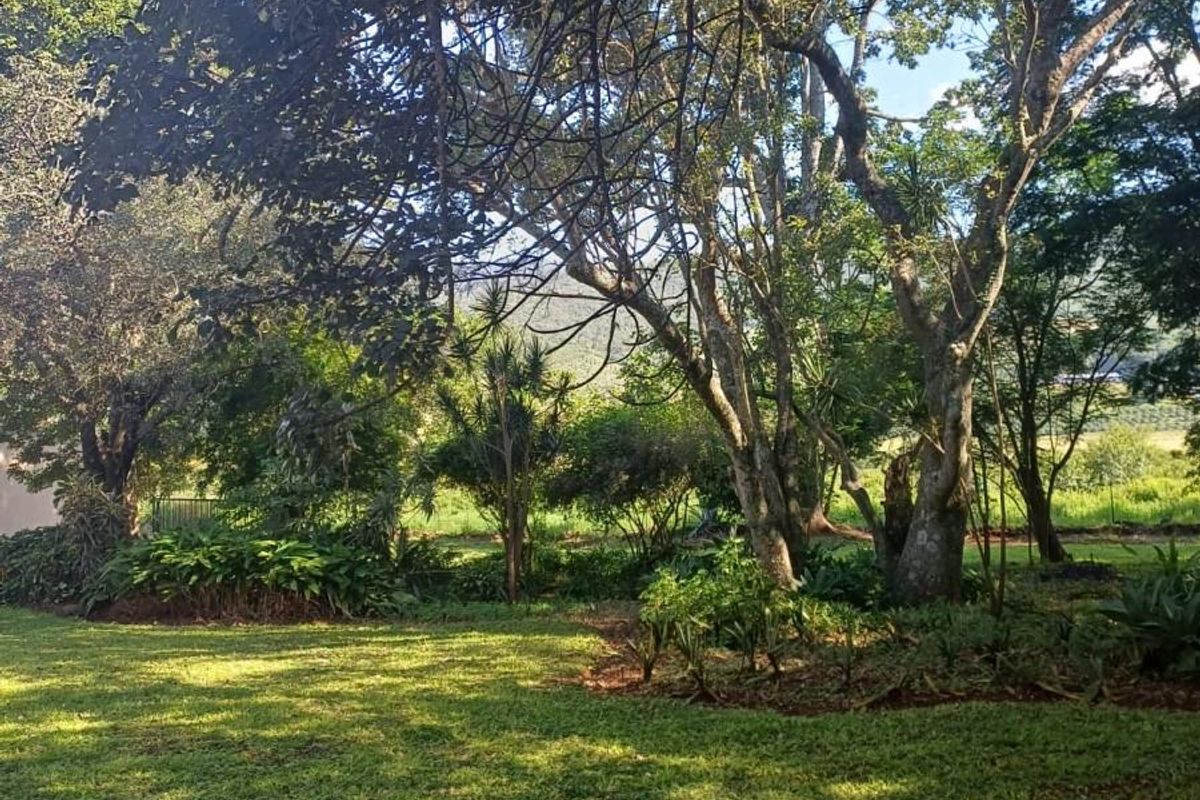 Lifestyle investment: Game fenced, avo orchard, 3 houses and solar power. - Photo 5