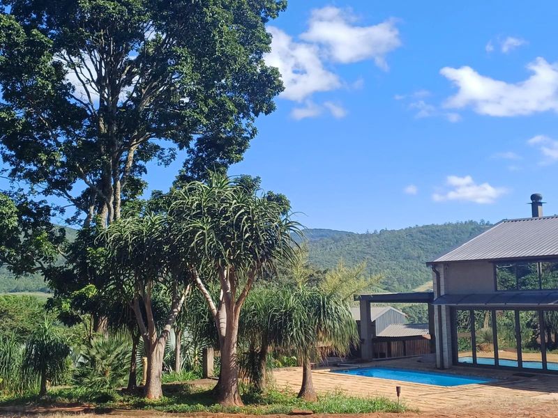 Lifestyle investment: Game fenced, avo orchard, 3 houses and solar power. - Photo 3