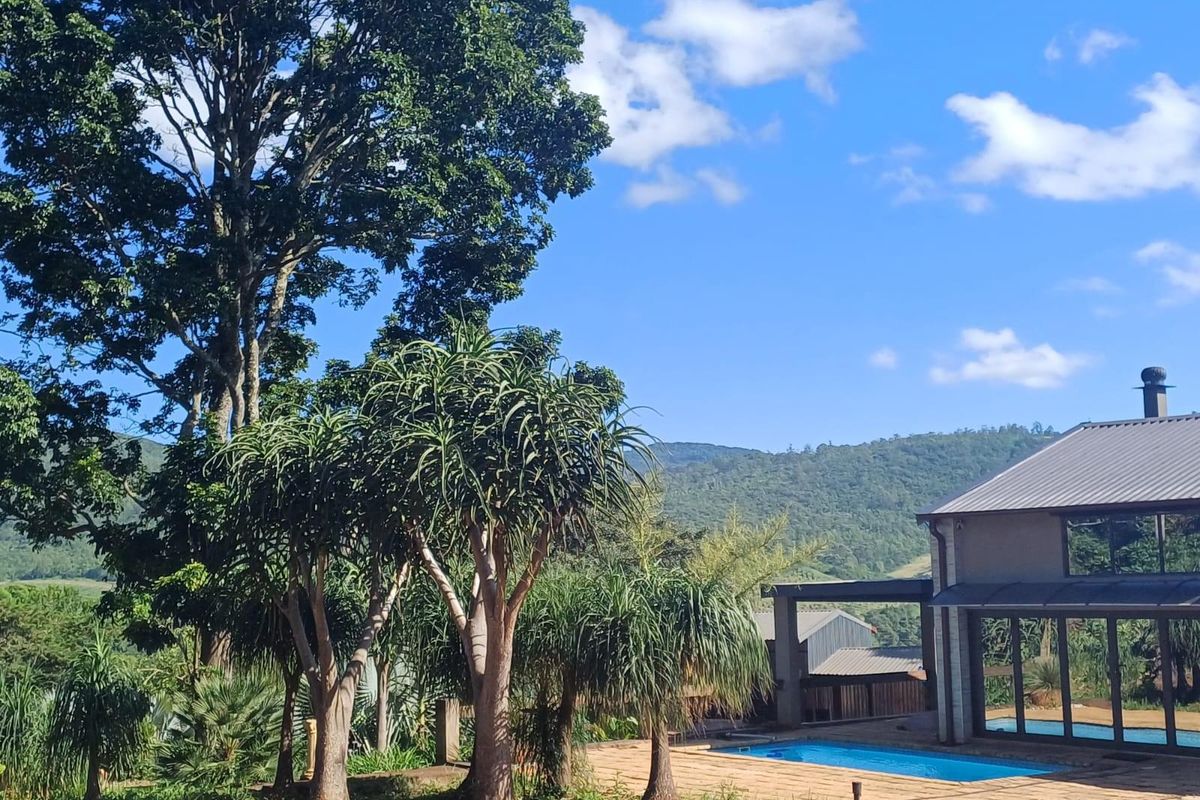 Lifestyle investment: Game fenced, avo orchard, 3 houses and solar power. - Photo 3