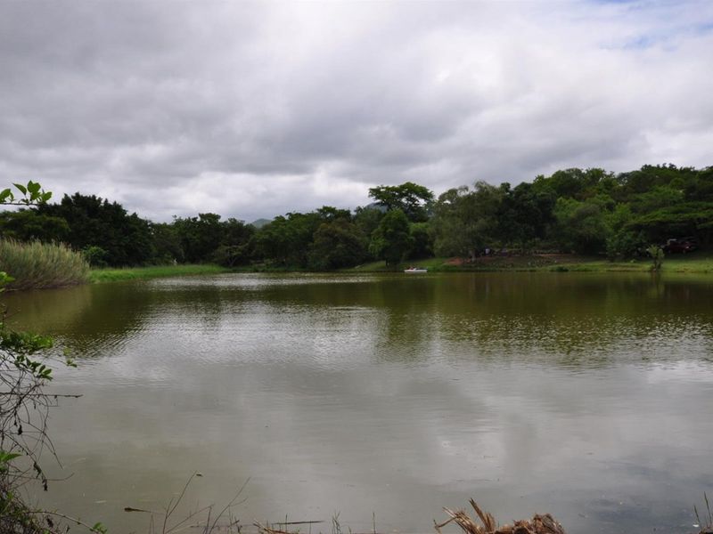 A scenic view of a natural dam surrounded by mature trees and lush greenery on the small holding property.