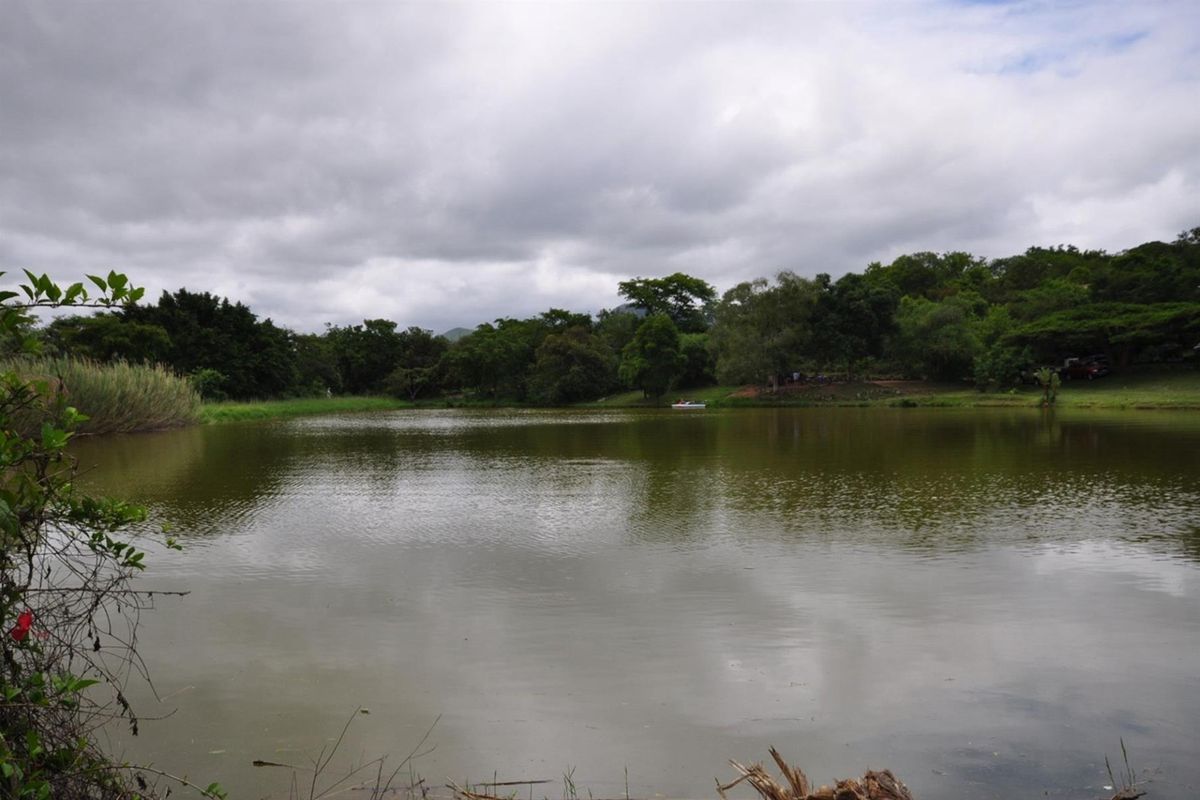 A scenic view of a natural dam surrounded by mature trees and lush greenery on the small holding property.