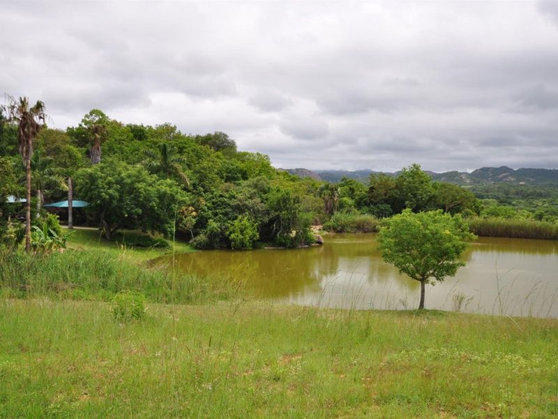 A scenic view of a natural dam surrounded by lush greenery and mature trees on the small holding property.